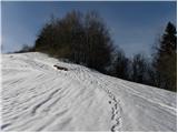 Trnovec - Polhograjska Grmada